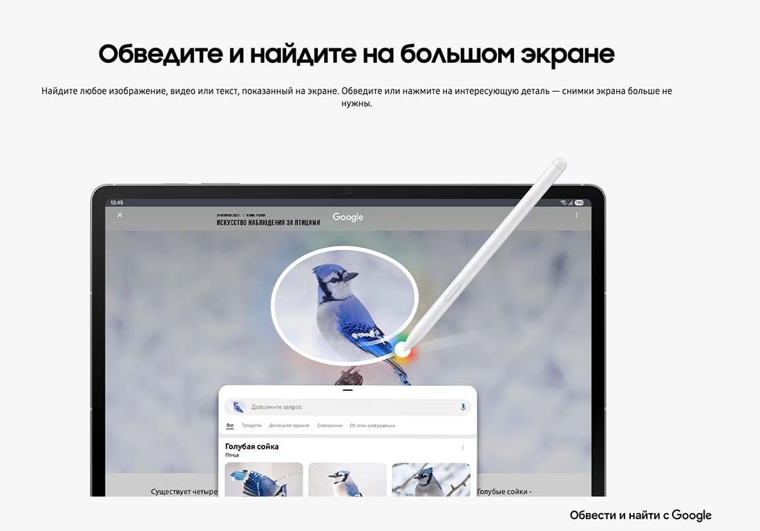 galaxy-tab-s10-fe в Орле galaxy-tab-s10-fe