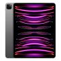 Apple iPad Pro 12,9" (M2, 2022, 6 gen) Wi-Fi + Cellular 2Tb Space Gray, «серый космос»