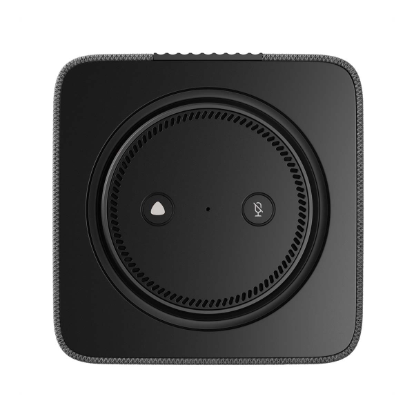 Умная колонка Яндекс.Станция Макс (Алиса, Zigbee) Графитовый